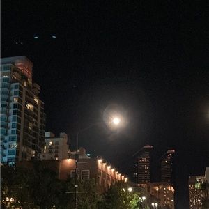 Meet your Posher, Maya